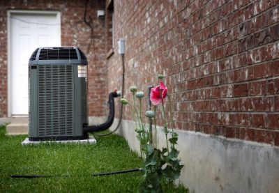 flowers growing outside near and outdoor ac unit